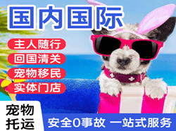 南阳姜营航空邮寄国际宠物托运 【国